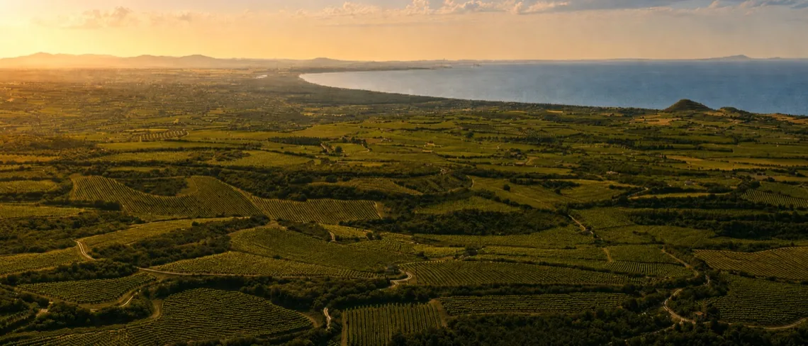 Panorama aereo della Romangia: i vigneti che scendono verso il Golfo dell'Asinara al tramonto.
