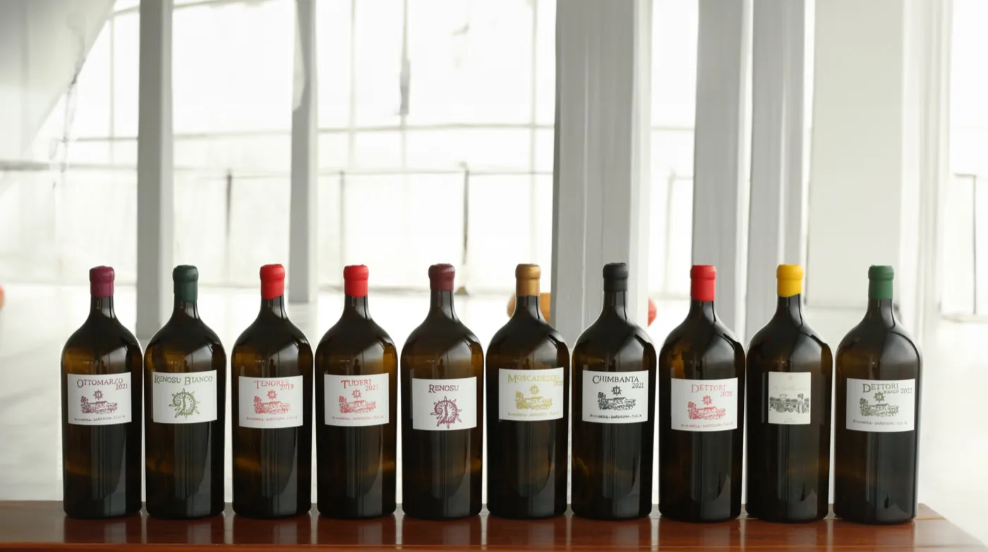 La fila dei dieci vini in grande formato davanti alla finestra.